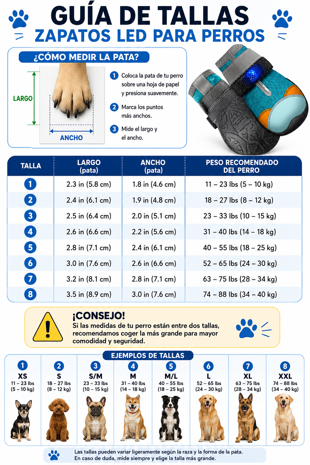 JUNTIA | Zapatos LED Para Perros
