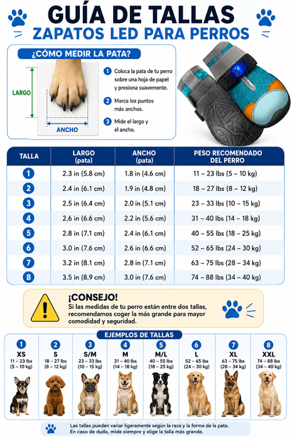 JUNTIA | Zapatos LED Para Perros