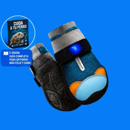JUNTIA | Zapatos LED Para Perros